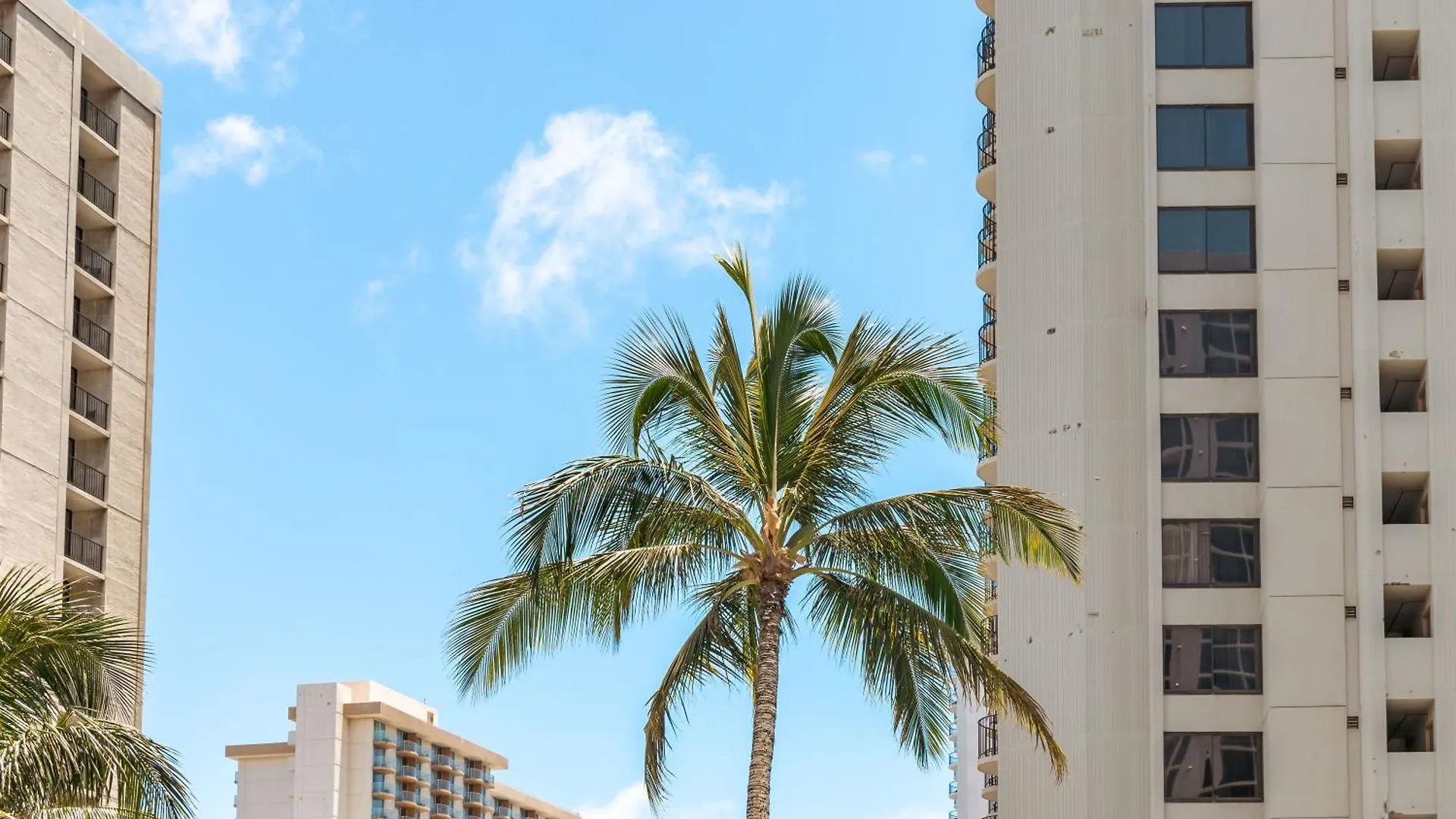 Sandy Toes, Mountain Views, Park For Free! Honolulu United States